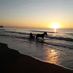 Nocleg ze śniadaniem Nido Sul Mare