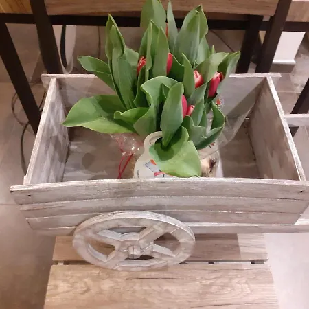 Nido Sul Mare Alojamento de Acomodação e Pequeno-almoço Alassio