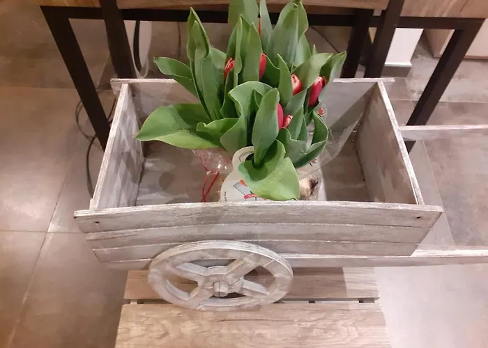 Nido Sul Mare Alojamento de Acomodação e Pequeno-almoço Alassio