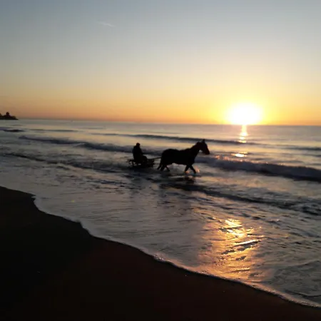 Frühstückspension Nido Sul Mare