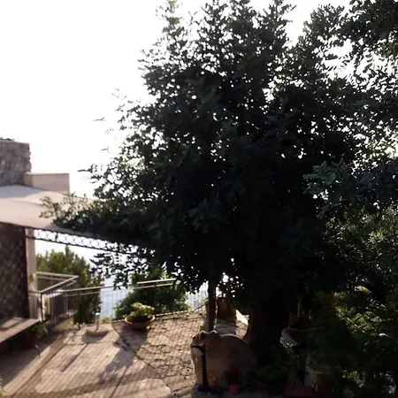 Bed & Breakfast Nido Sul Mare Alassio
