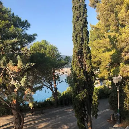 Bed & Breakfast Nido Sul Mare Alassio