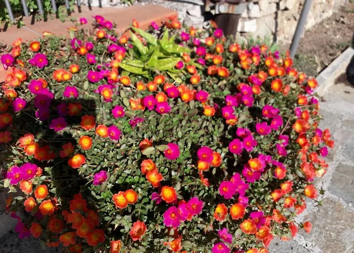 Nido Sul Mare Frühstückspension 3*